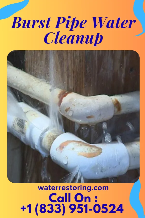 Burst Pipe Water Cleanup in Purcellville, VA