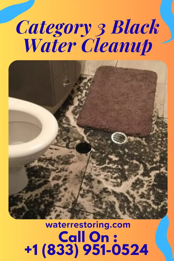 Category 3 Black Water Cleanup in Purcellville, VA