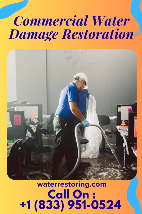 Commercial Water Damage Restoration in Purcellville, VA