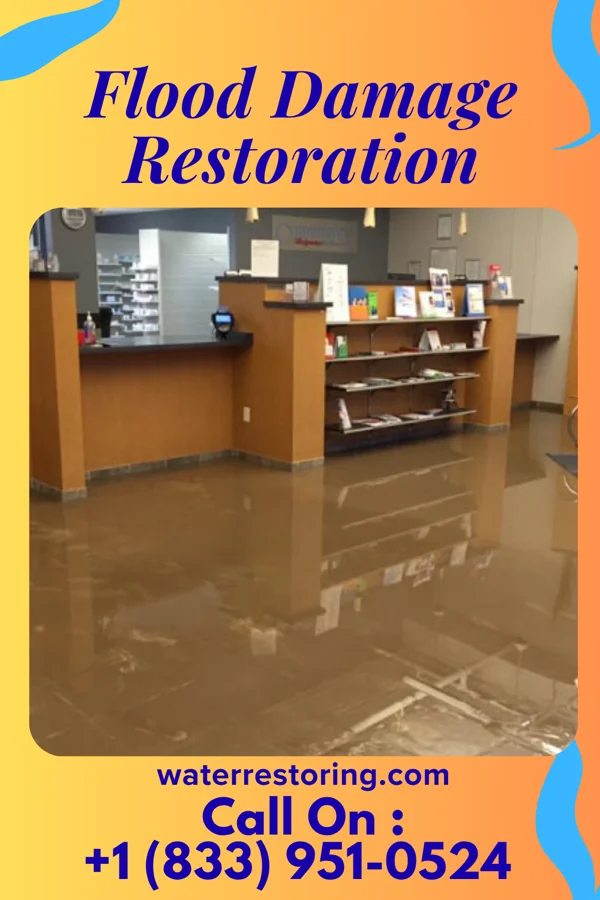 Flood Damage Restoration in Purcellville, VA