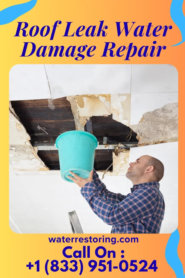 Roof Leak Water Damage Repair in Purcellville, VA
