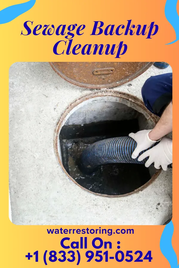 Sewage Backup Cleanup in Purcellville, VA