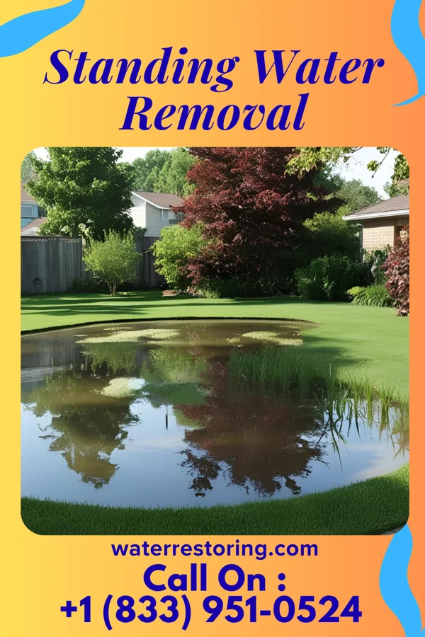Standing Water Removal in Purcellville, VA
